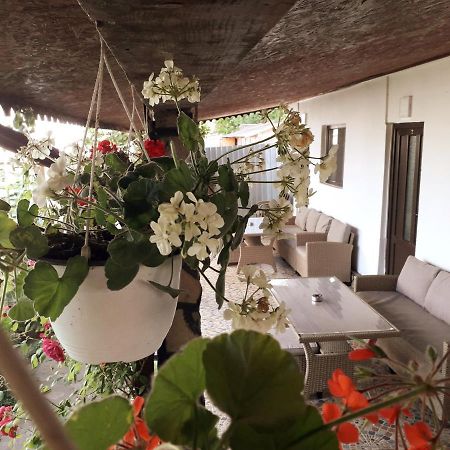 Penzion Casa Chitu Murighiol Exteriér fotografie