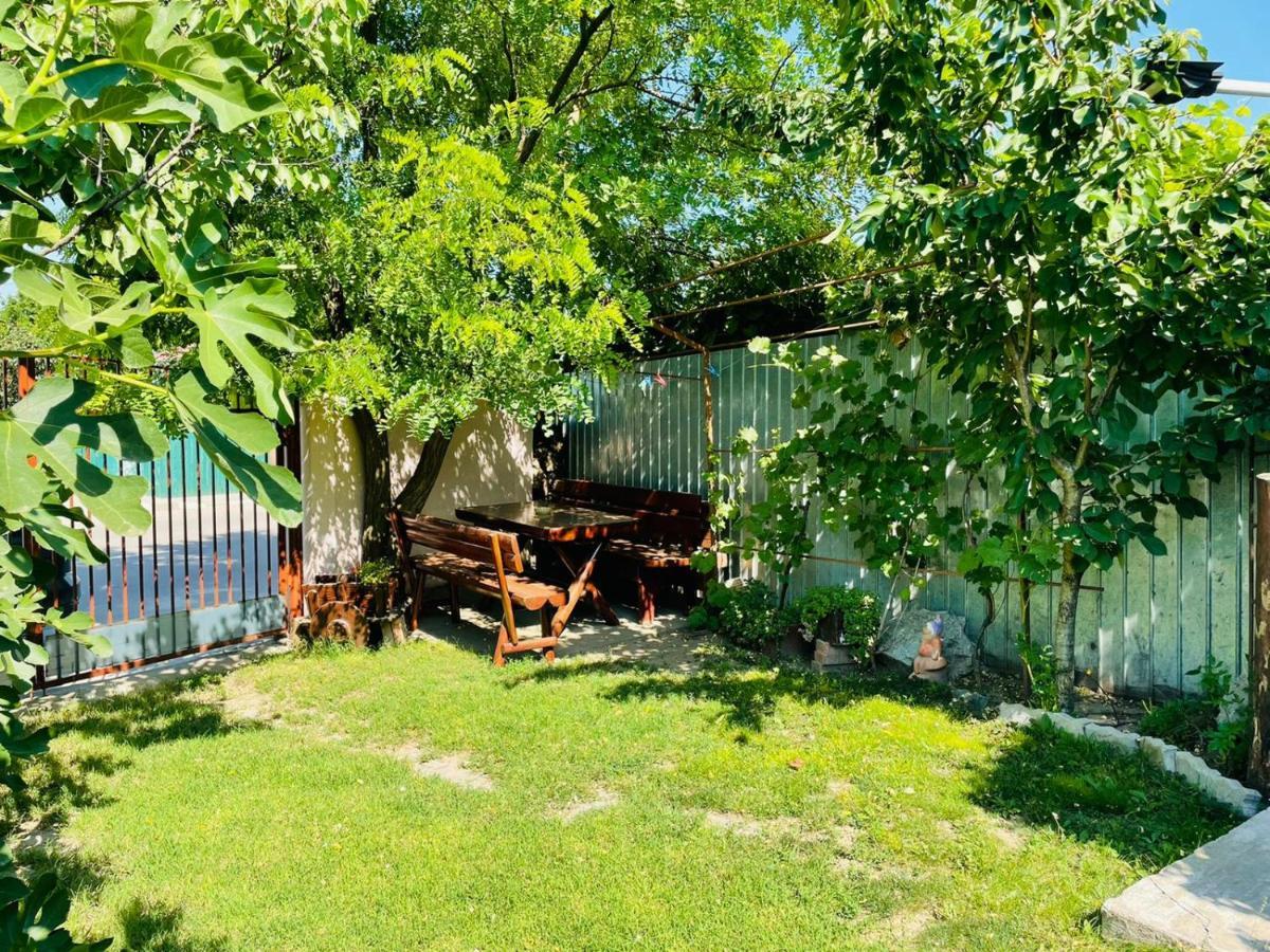 Penzion Casa Chitu Murighiol Exteriér fotografie