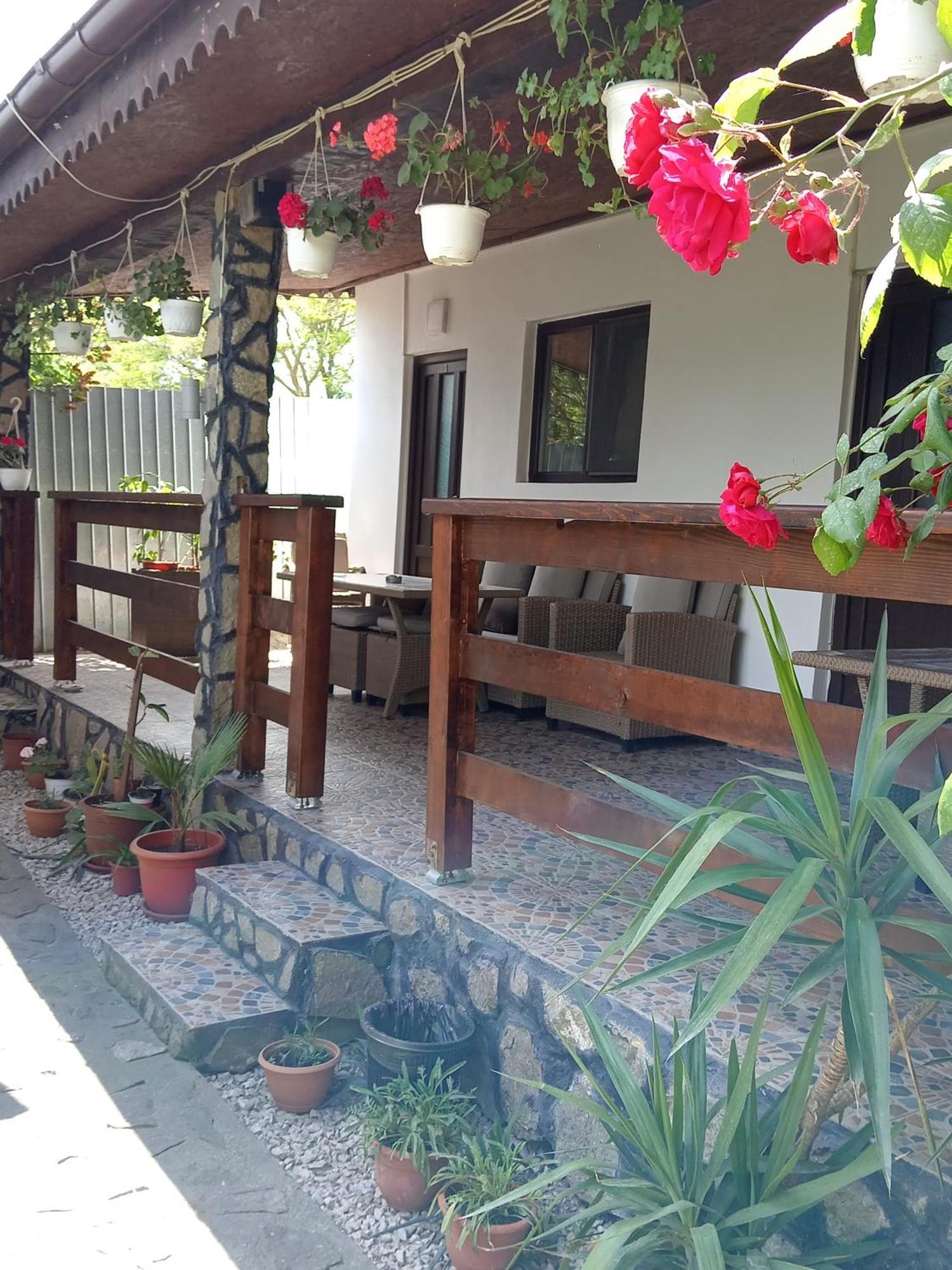 Penzion Casa Chitu Murighiol Exteriér fotografie